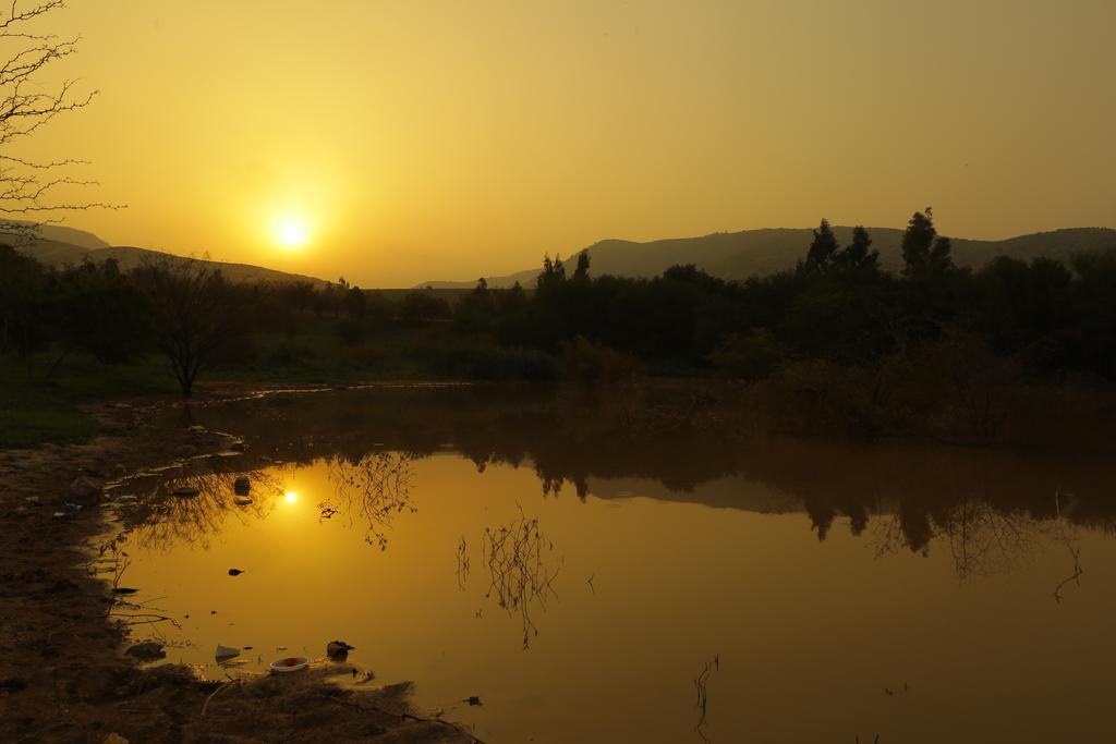 Sharhabil Bin Hasnah Ecopark Hotell Qulay'at Exteriör bild