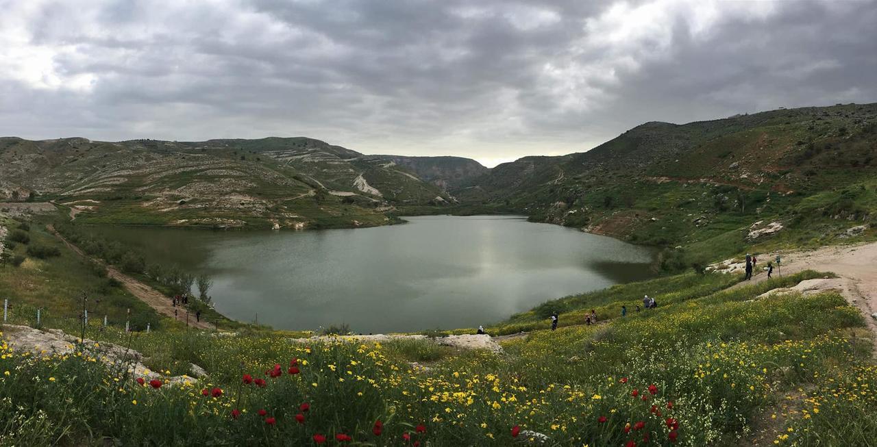 Sharhabil Bin Hasnah Ecopark Hotell Qulay'at Exteriör bild