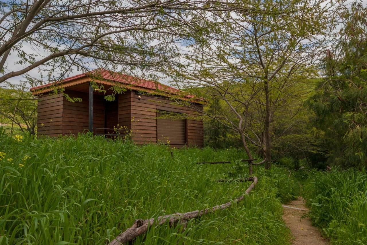 Sharhabil Bin Hasnah Ecopark Hotell Qulay'at Exteriör bild