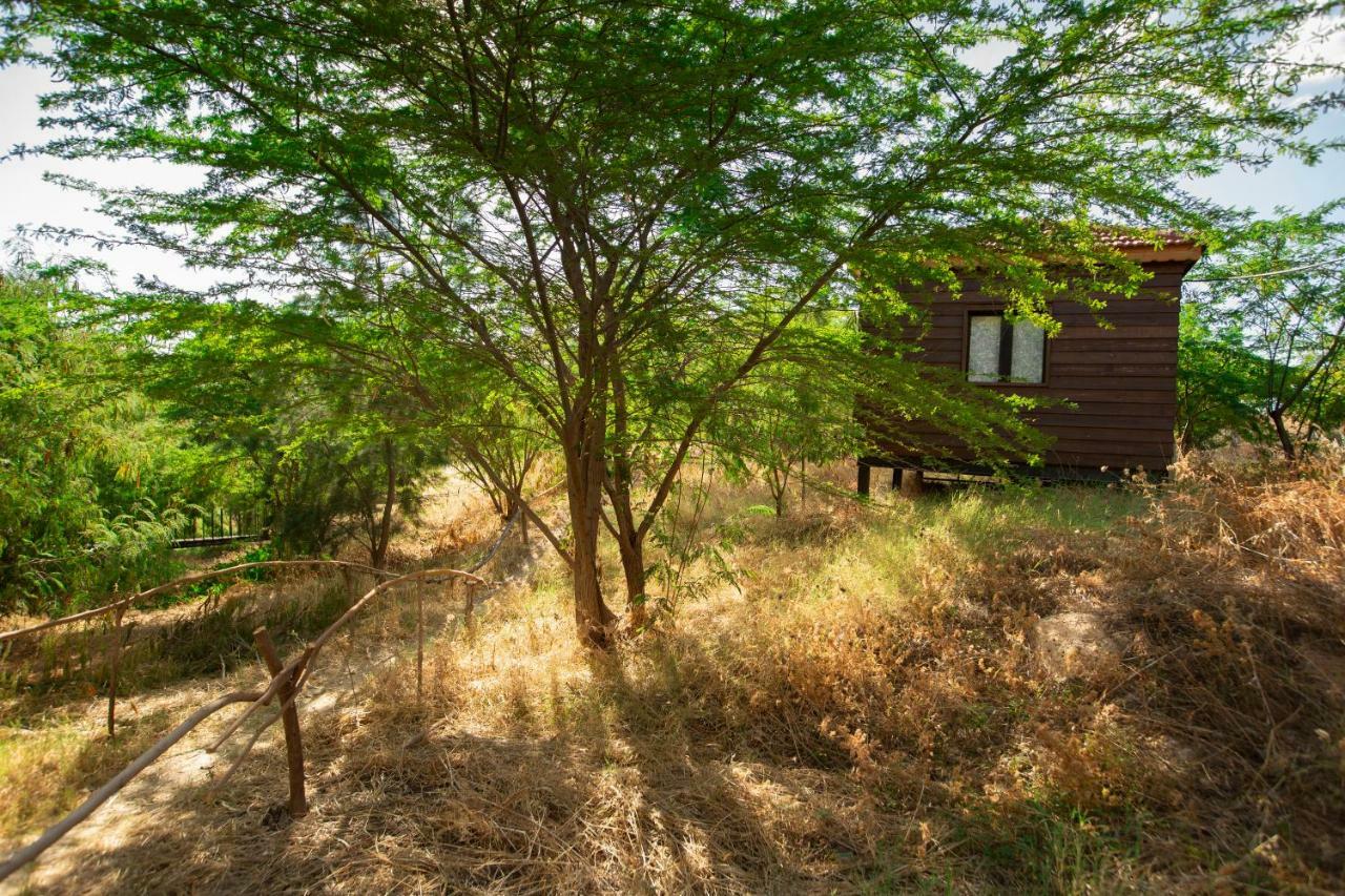 Sharhabil Bin Hasnah Ecopark Hotell Qulay'at Exteriör bild