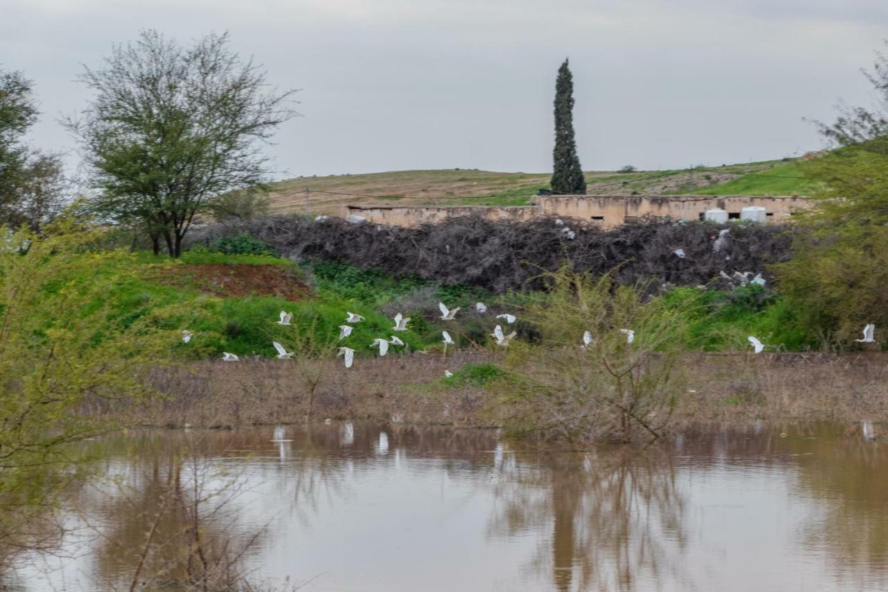 Sharhabil Bin Hasnah Ecopark Hotell Qulay'at Exteriör bild