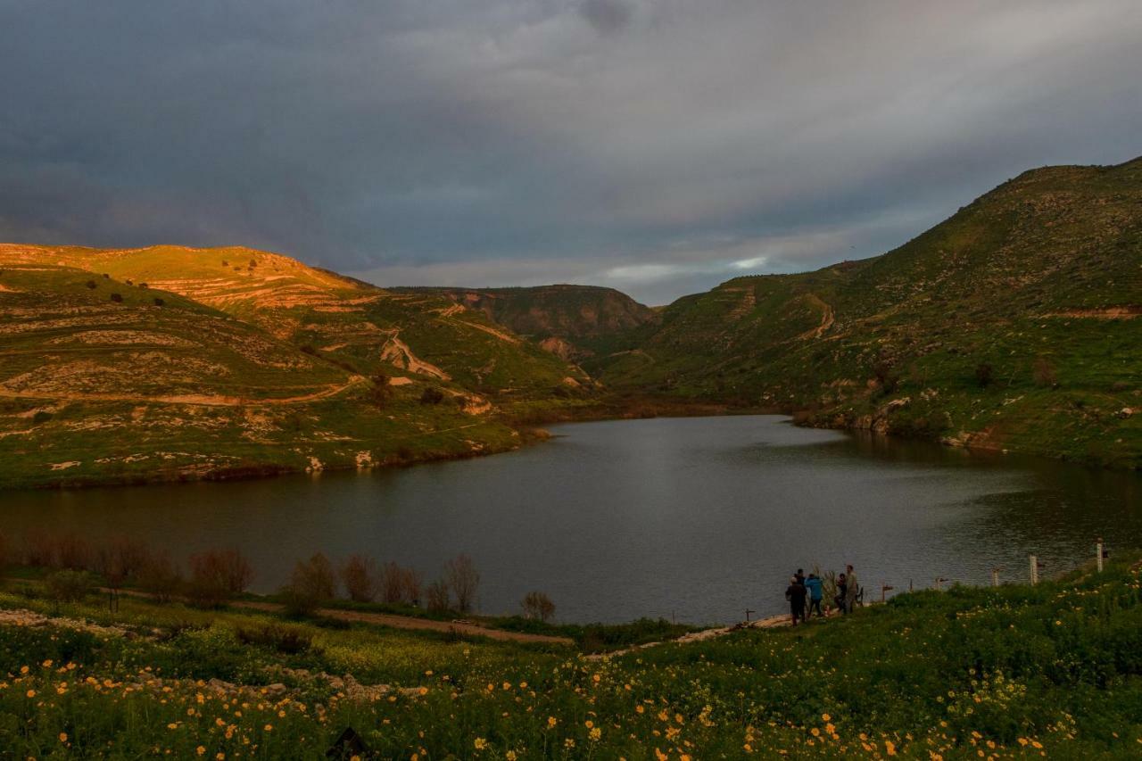 Sharhabil Bin Hasnah Ecopark Hotell Qulay'at Exteriör bild