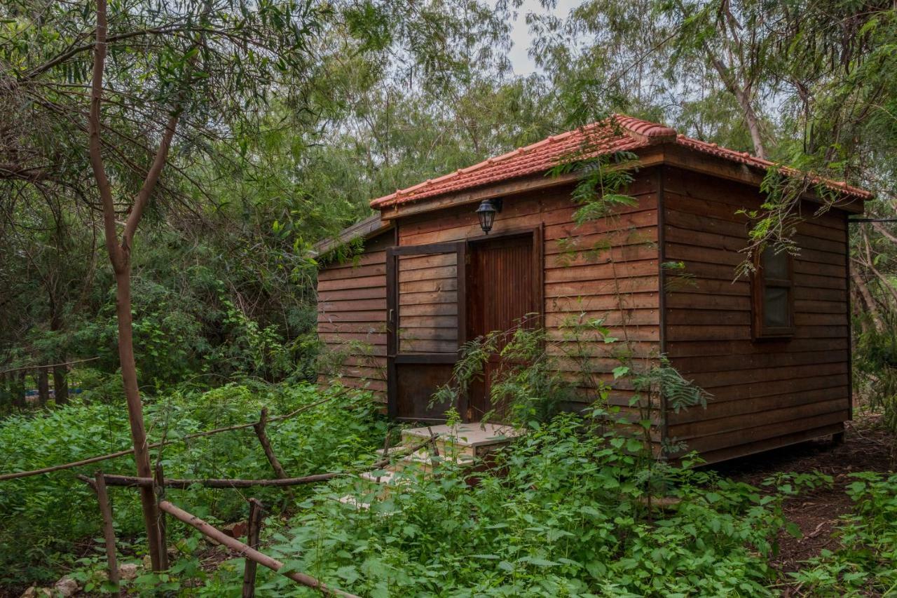 Sharhabil Bin Hasnah Ecopark Hotell Qulay'at Exteriör bild